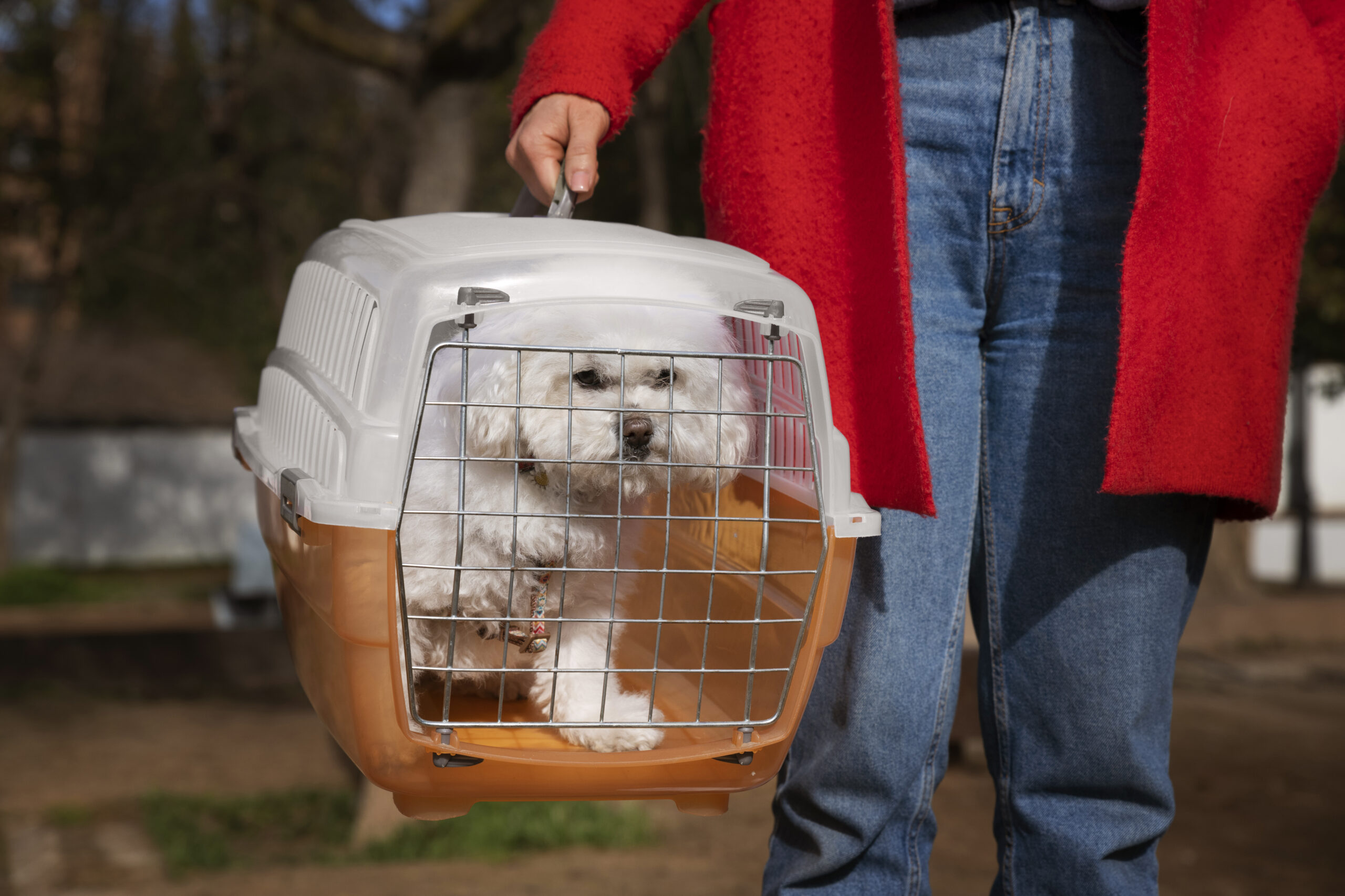 Best travel crate for dogs. Traveling with right crate for dogs provide a safe journey to your dogs.