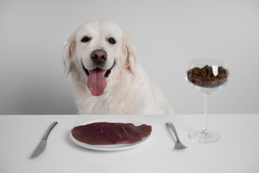 Zignature turkey dog food. Zignature dog food is a dog food brand that produces many different dog foods.